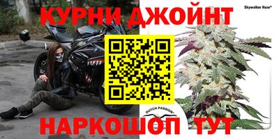 mix Кингисепп
