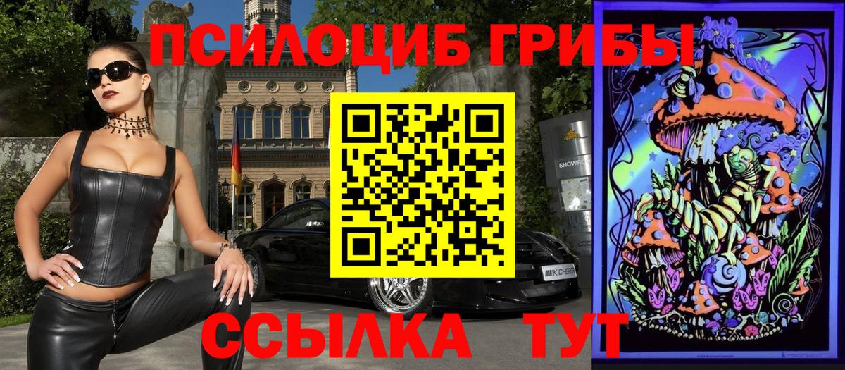 Псилоцибиновые грибы Cubensis  Вход с VPN  Кубинка 